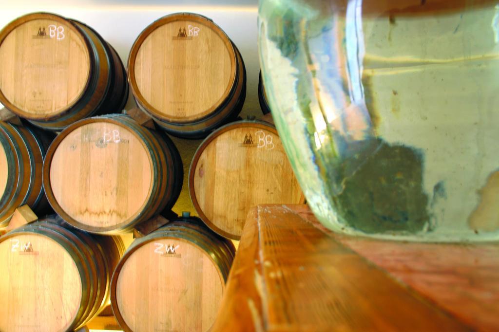 Hotel Weingut Martinshof Sankt Ulrich  Zewnętrze zdjęcie
