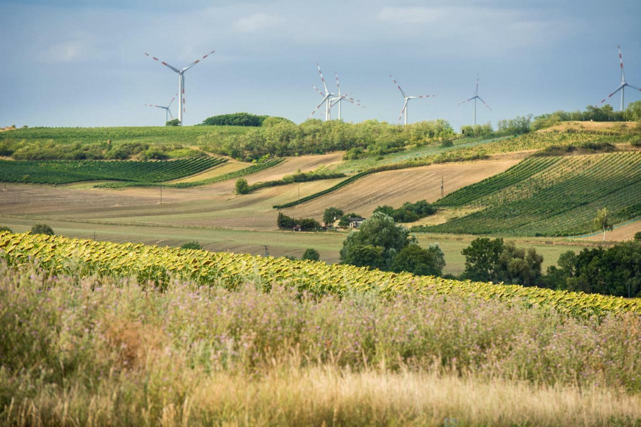 Hotel Weingut Martinshof Sankt Ulrich  Zewnętrze zdjęcie
